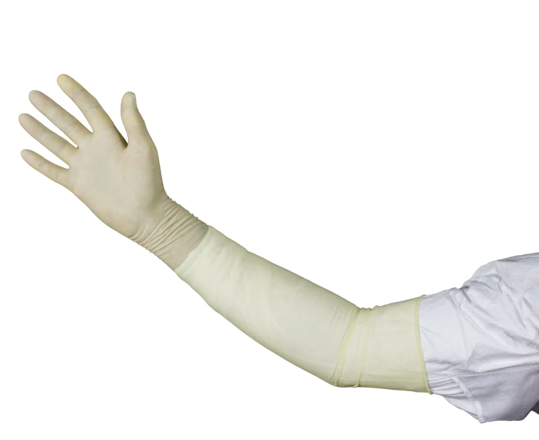 18 Inches (>400mm) Disposable Latex Gynecological / Obstetric Gloves /Elbow Length Powder or Powder Free